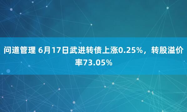 问道管理 6月17日武进转债上涨0.25%，转股溢价率73.05%
