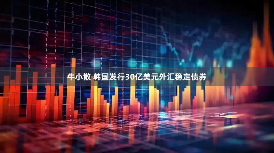 牛小散 韩国发行30亿美元外汇稳定债券