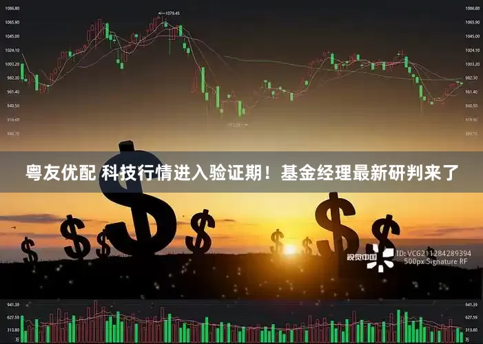 粤友优配 科技行情进入验证期！基金经理最新研判来了