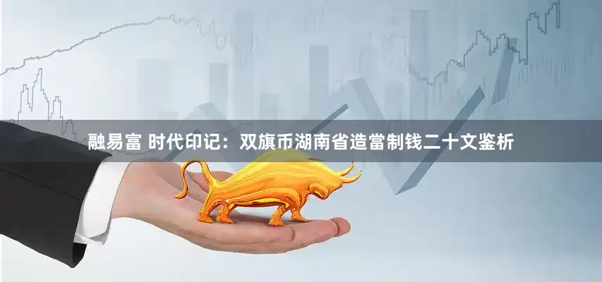融易富 时代印记：双旗币湖南省造當制钱二十文鉴析