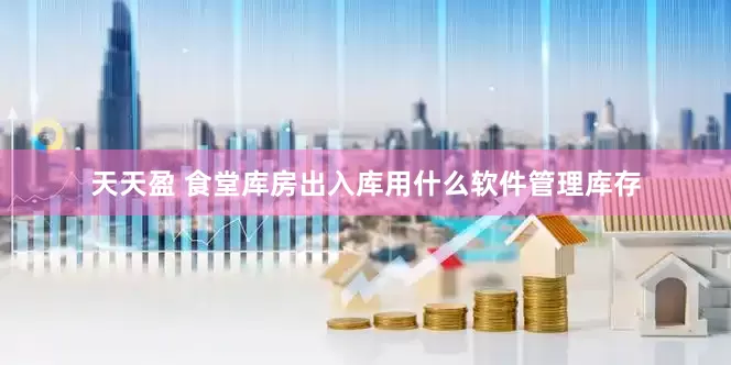 天天盈 食堂库房出入库用什么软件管理库存